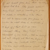 Letter, 2 November 1915